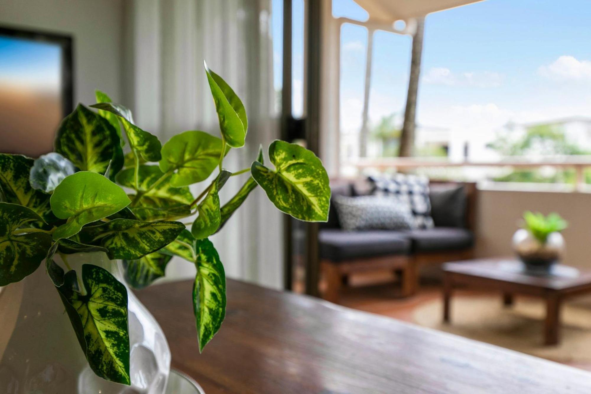 The Noosa Apartments Exteriör bild